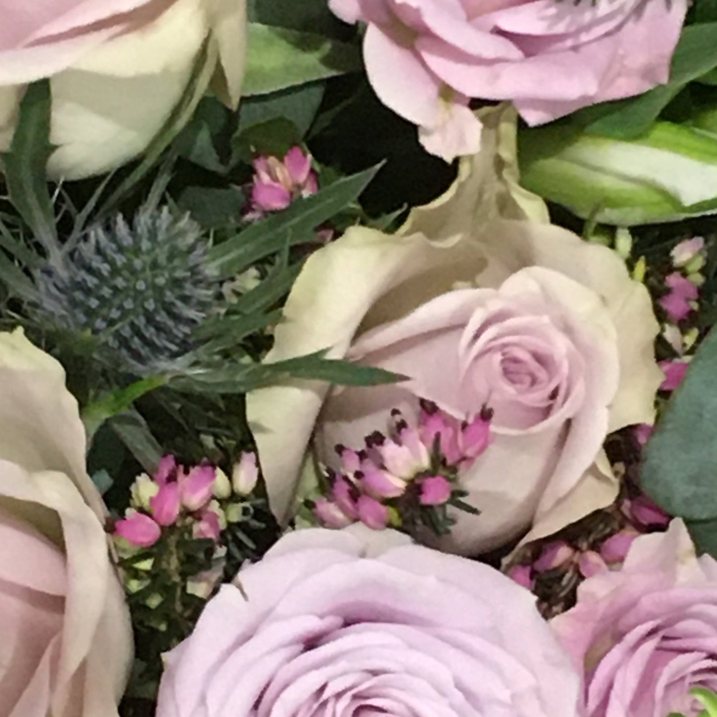 Rose and Freesia Posy