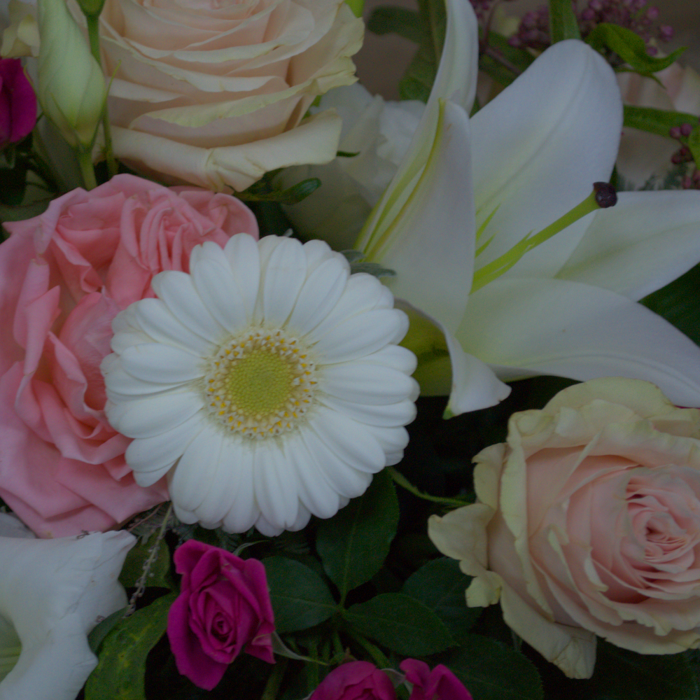 Pink and Ivory Single ended spray