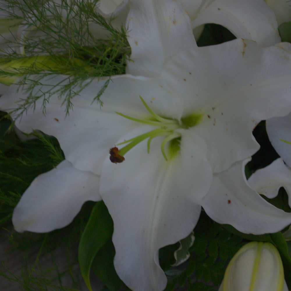 Lily Wreath