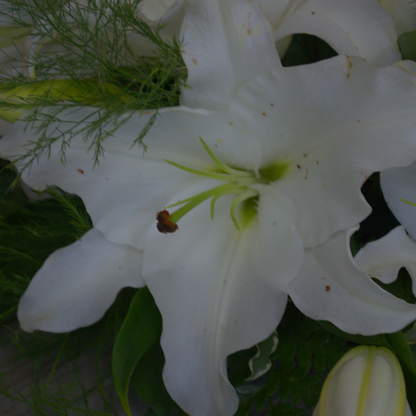 Lily Wreath