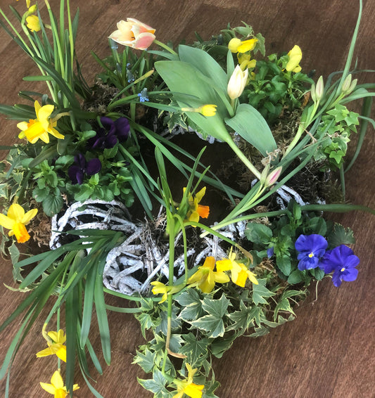 Wicker Planted Wreath